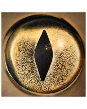 piotr paraniak, beautiful apokalypse, olej, płótno